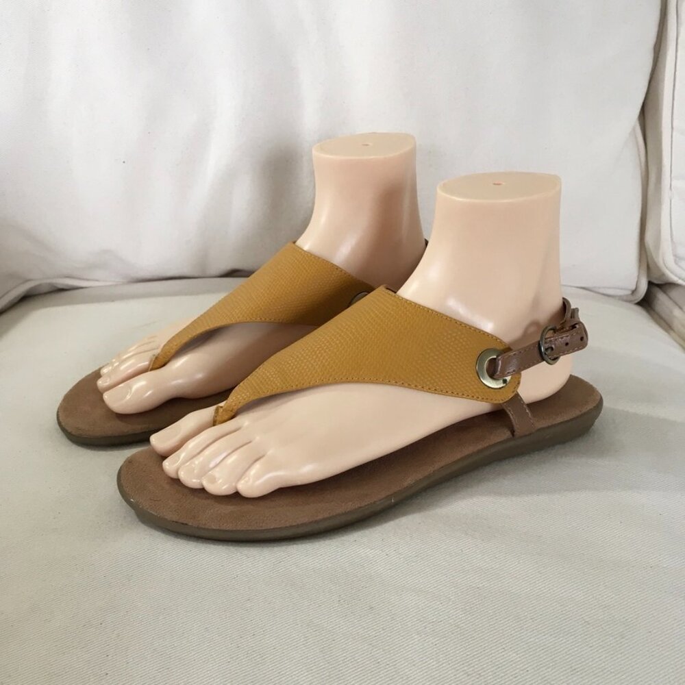 Aerosoles In Conchlusion Slingback Sandal